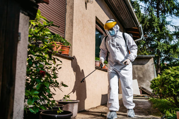 Best Local Pest Control Services  in Clton, IN