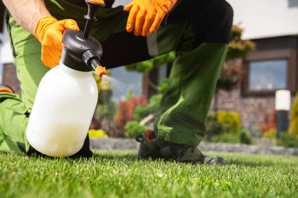 Best Commercial Pest Control Services  in Clton, IN