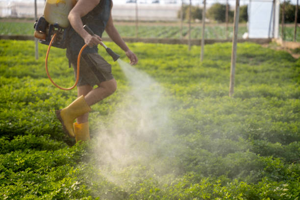Reliable Clinton, IN Pest Control Solutions