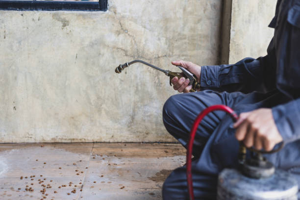 Best Pest Prevention Services  in Clton, IN
